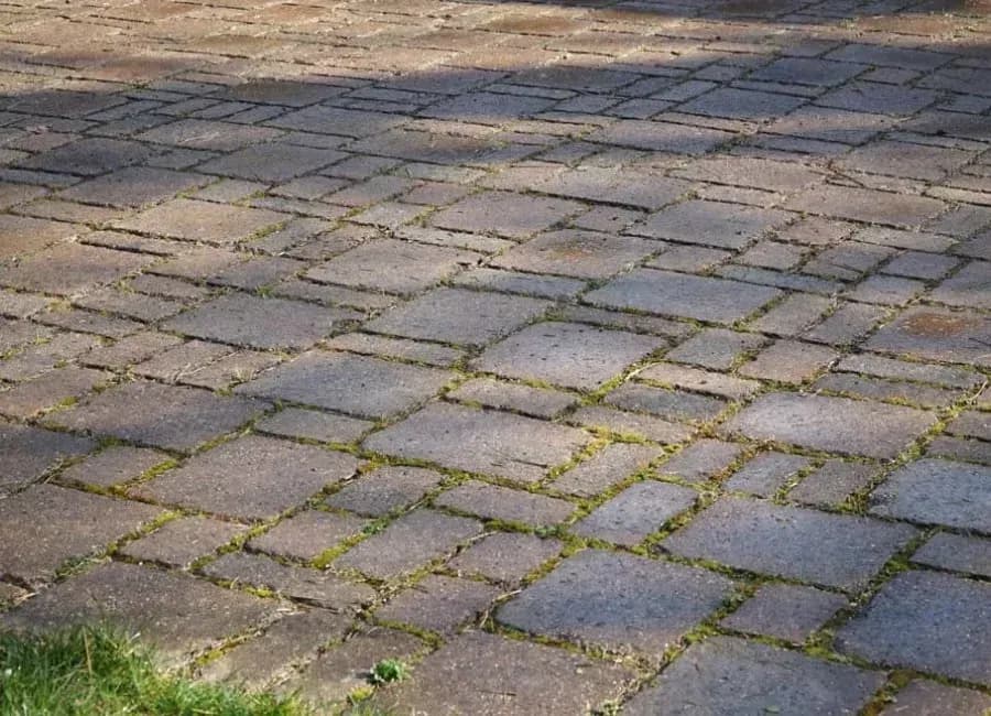 Pflastersteine in Pforzheim reinigen lassen – Rückstandslos und ohne Chemie