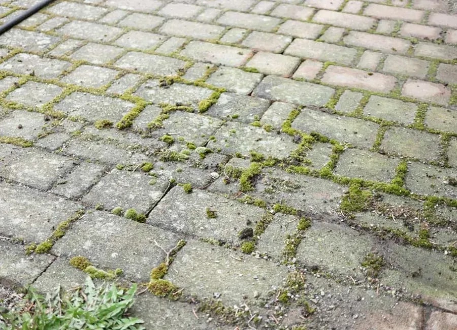 Umweltfreundliche Steinpflege in Karlsruhe