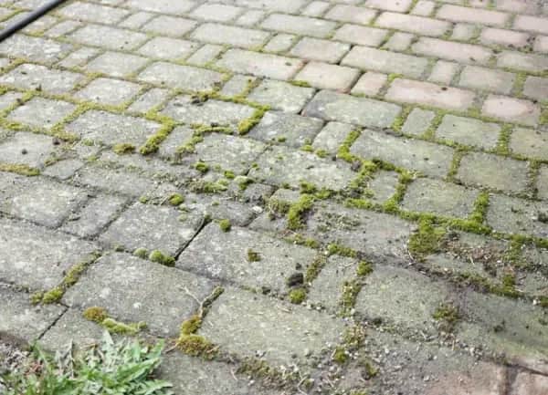 Umweltfreundliche Steinpflege in Karlsruhe