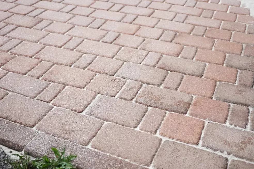 Moos von Pflastersteinen entfernen lassen in Pforzheim – Jetzt anfragen