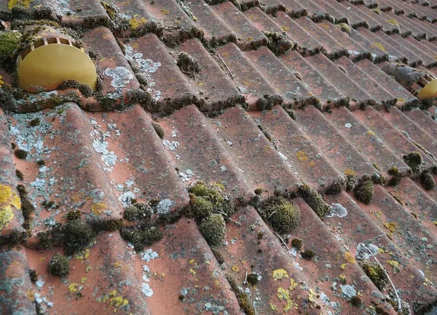 Dachreinigung vom Profi in Karlsruhe